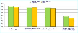 chart IVF success rates