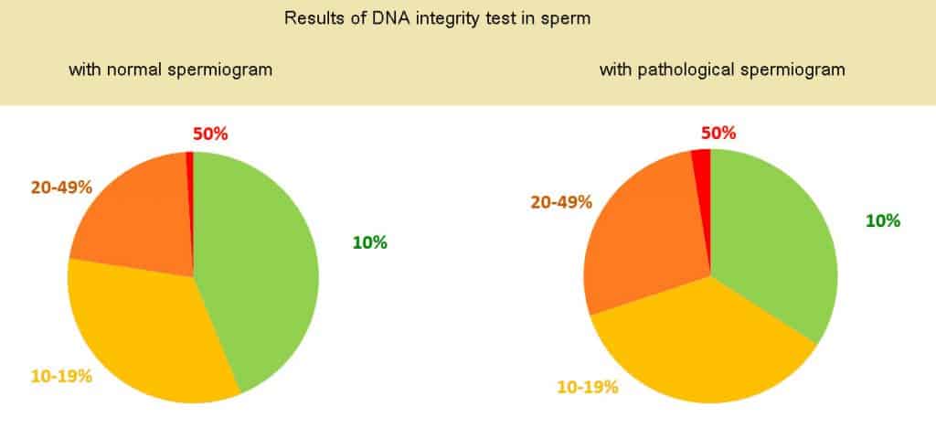 results of DNA integrity in sperm