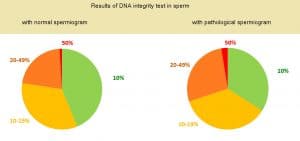 results of DNA integrity in sperm
