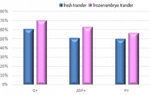 frozen embryo transfers