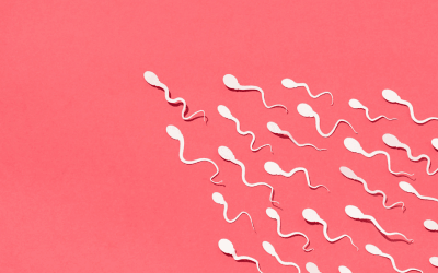 Top 7 Tips to improve sperm health