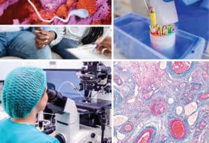 ESHRE Annual Meeting in Amsterdam