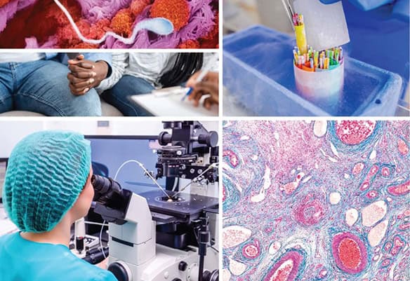 ESHRE Annual Meeting in&nbsp;Amsterdam